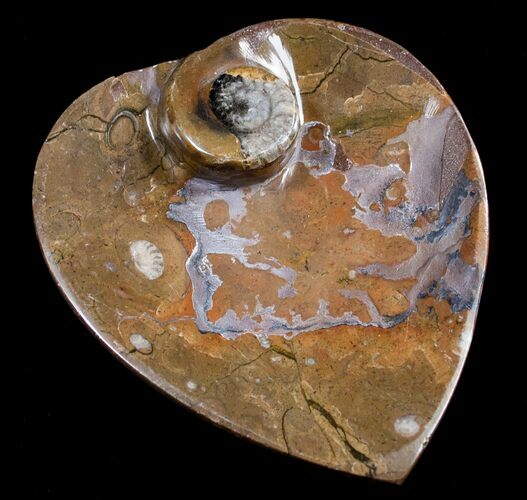 Heart Shaped Fossil Goniatite Dish #8865